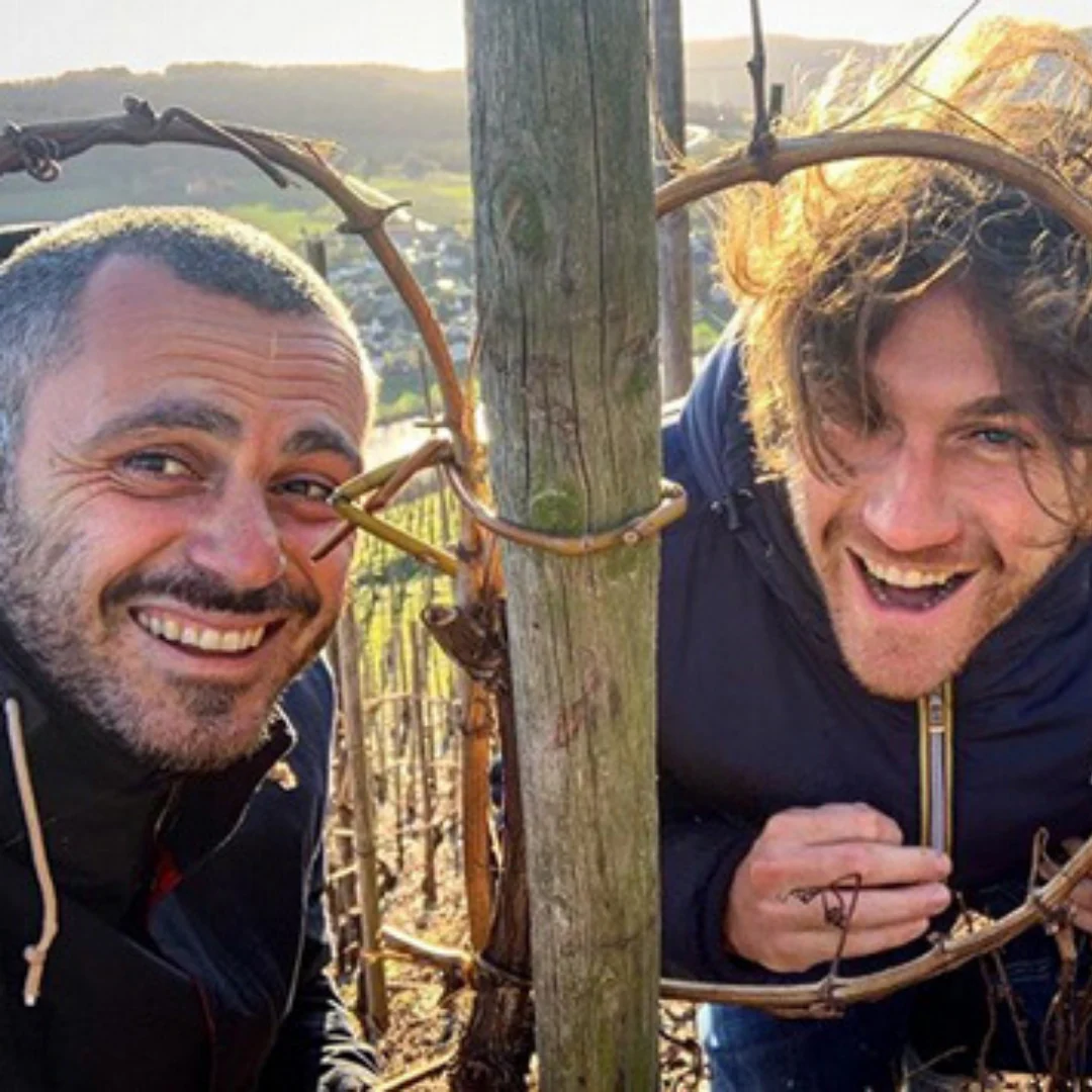Bianco Carbo 2019 - Image 3
